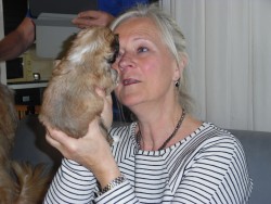Afbeelding invoegen