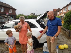 Afbeelding invoegen