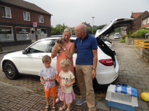 Afbeelding invoegen