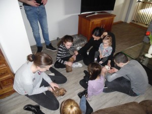 Afbeelding invoegen