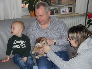 Afbeelding invoegen