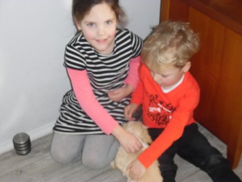Afbeelding invoegen