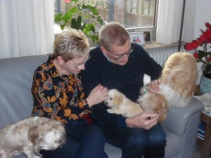 Afbeelding invoegen