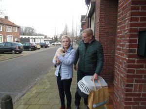 Afbeelding invoegen