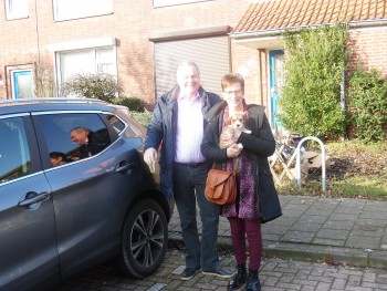 Afbeelding invoegen