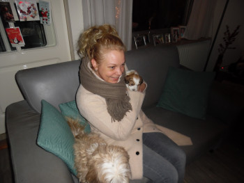 Afbeelding invoegen