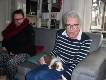 Afbeelding invoegen