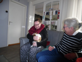 Afbeelding invoegen