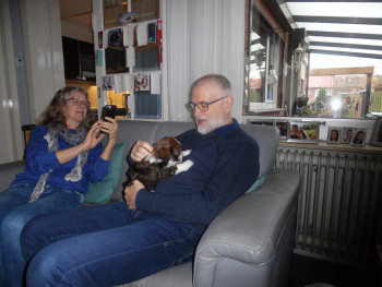 Afbeelding invoegen