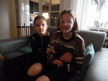 Afbeelding invoegen