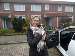 Afbeelding invoegen