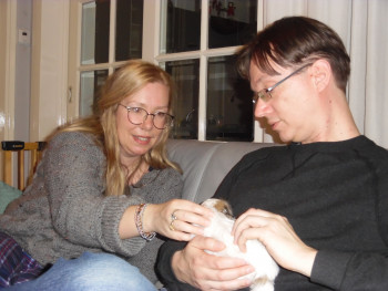 Afbeelding invoegen
