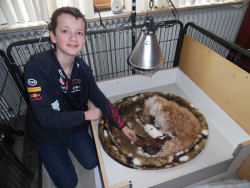 Afbeelding invoegen