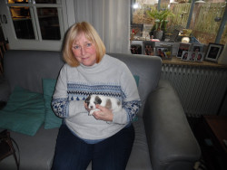 Afbeelding invoegen