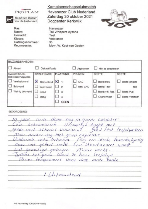 Afbeelding invoegen