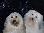 Bailey met Pink Floyd