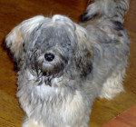 Dana, dochter van Dolly Dot