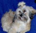 Dolly, een mooie dochter van Pink Floyd & Bailey