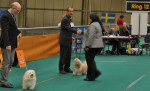 Piet en Romy in Eindhoven 9 feb 2014