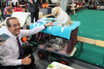 Piet op de show Maastricht