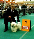 Macho & Piet, 1e plaats op zijn eerste show!