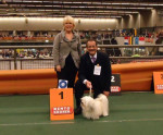 Piet & DeeDee met Bailey (Bayco), kampioen van Nederland en zoon van Pink Floyd