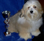 1e show te Rotterdam, beste pup & 7e plaats erering!